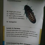 Amsterdam 29-12-2010 462