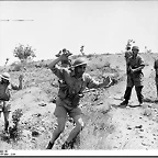 british-troops-surrender-crete-battle-crete-ww2