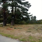 DSCN2127