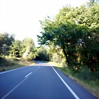 DSCN6807