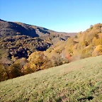 DSCN9529