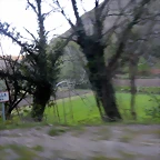 DSCN9148