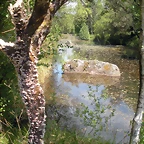 DSCN5349
