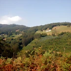 DSCN0931