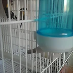IMAG1729