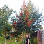 DSCN0289