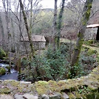 DSCN0122