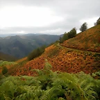 DSCN9982