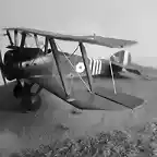 fin sopwith 2 075