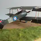 fin sopwith 2 065