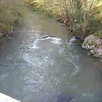 DSCN8637