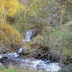 DSCN6119