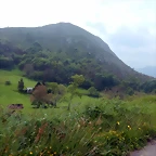 DSCN0215