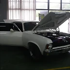 P1130557 (Small)