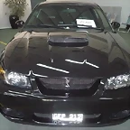 P1130463 (Small)