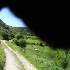 DSCF2481