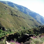 DSCF2696
