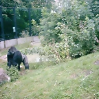 PIC03284