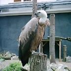 PIC03285