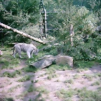 PIC03477