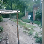 PIC03481