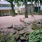 PIC03287