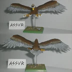 aguila2