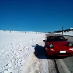 IMG_20131128_133952