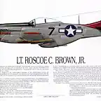 print_P-51D_R.Brown