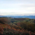 DSCN9517