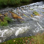 DSCN5773