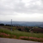 DSCN6503