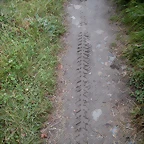 DSCN4746