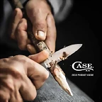 Case 2018