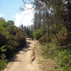DSCN5309
