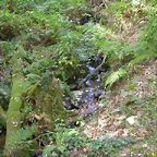DSCN7526
