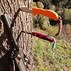 IMG_20201112_123309