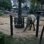 Zoo de Barcelona 07-12-2010 024