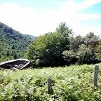 DSCN8330