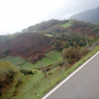 DSCN2823