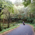 DSCN0354