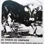TERNERO-1979