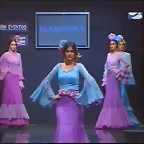 Pasarela 12-2-2015 (15)