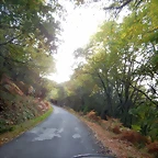DSCN8462