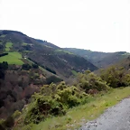 DSCN4007