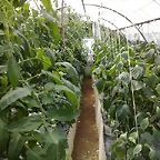 21082010625