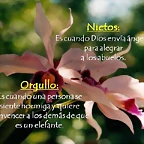 Diapositiva11