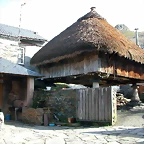 DSCN7782