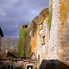 DSCN2000