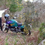 DSCN2024